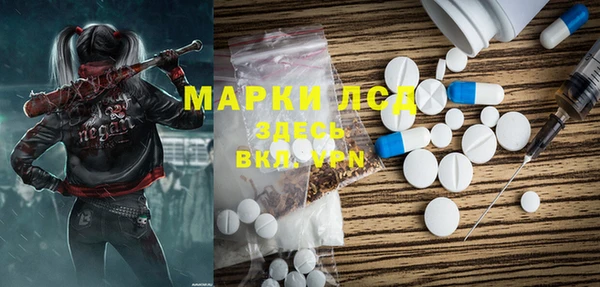 прущий лед Алзамай