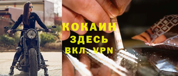 прущий лед Алзамай