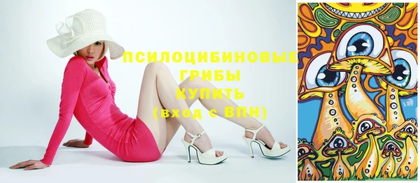прущий лед Алзамай