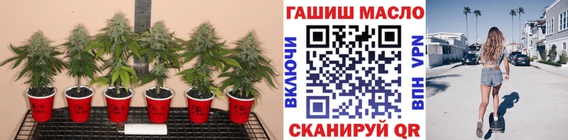 купить наркоту  Юрьевец  ТГК жижа 