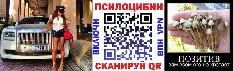 закладки  Юрьевец  Галлюциногенные грибы GOLDEN TEACHER 
