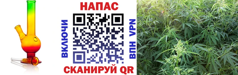 сколько стоит  Юрьевец  Шишки марихуана конопля 